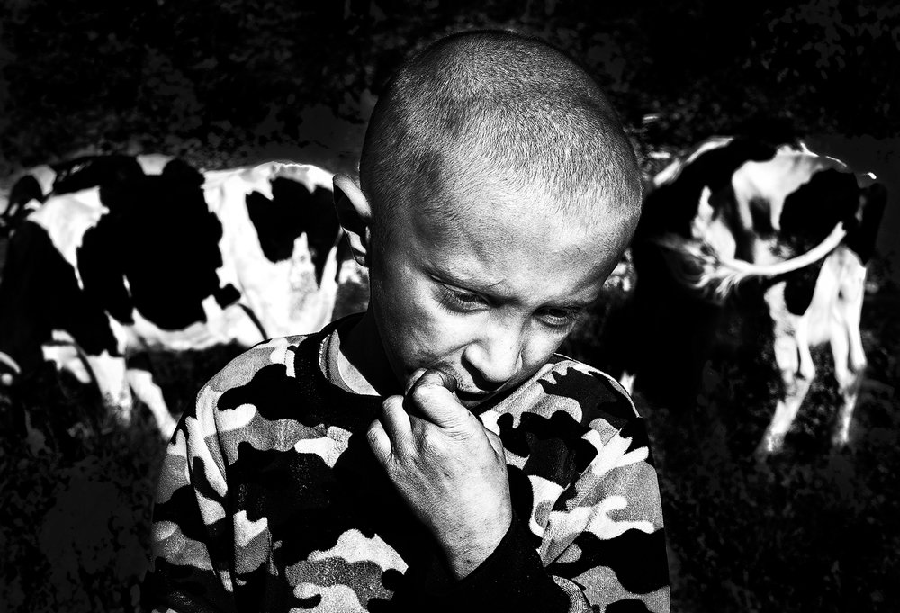 Photograph by kaveh manafzadeh