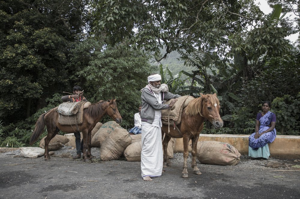 Photograph by Piruthiviraj Kiridarane