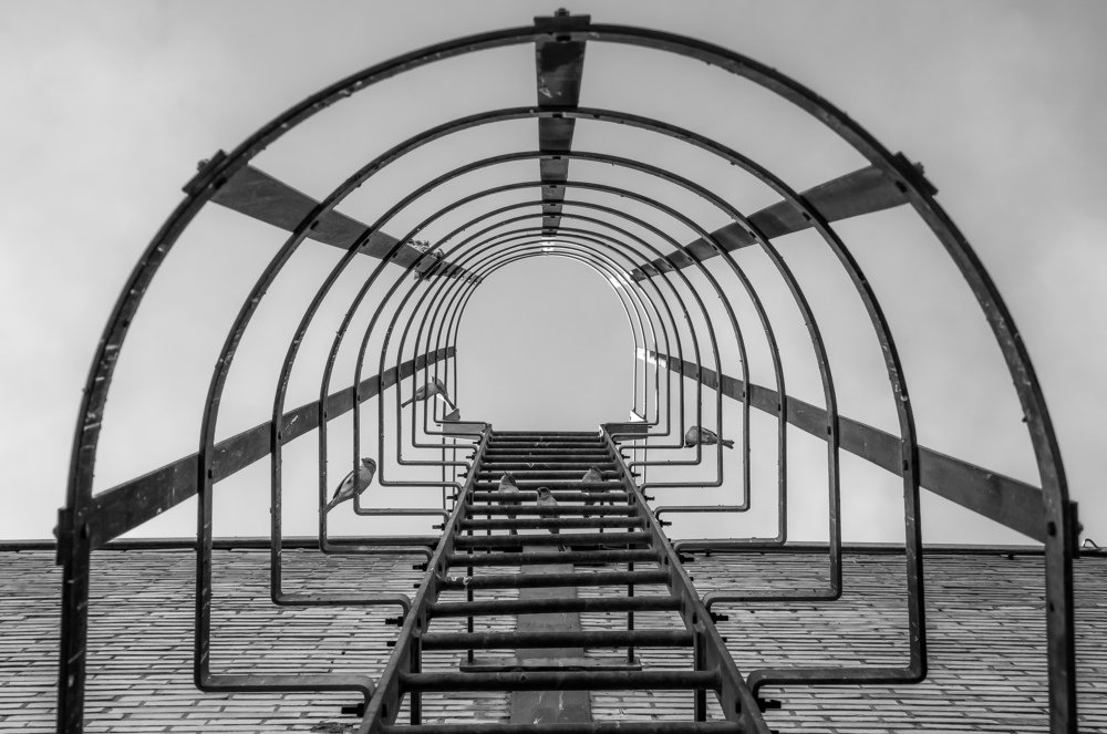 Photograph by porya sahraei