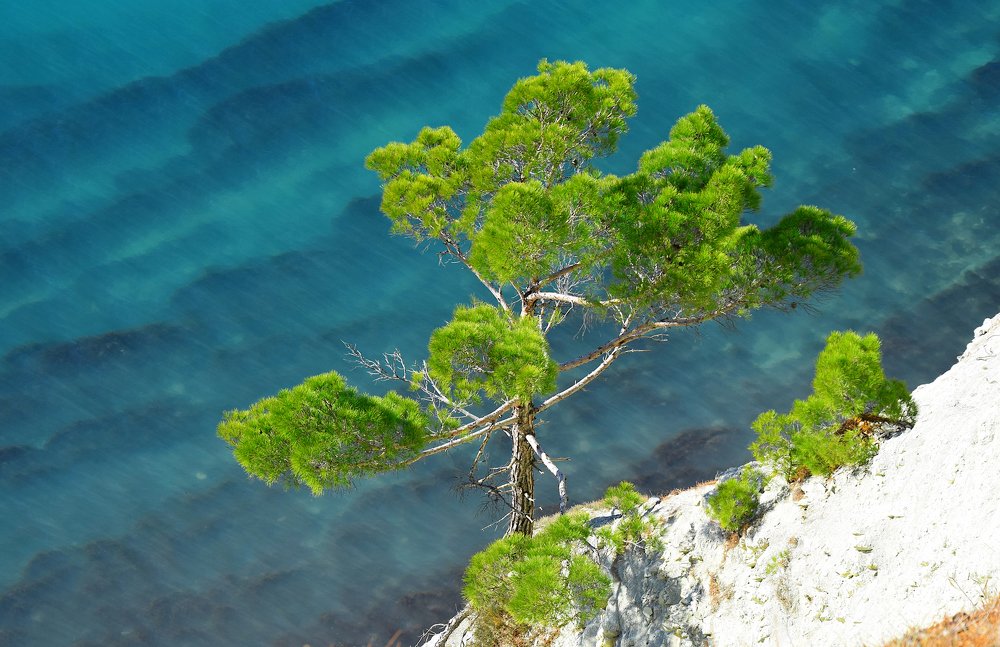 Photograph by Margo Margo