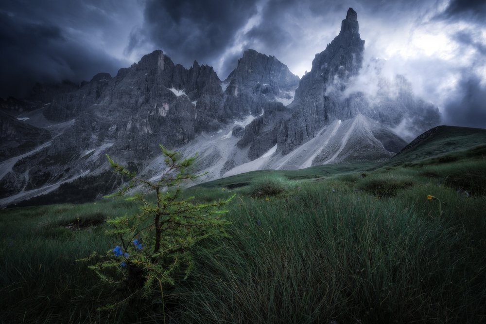 Photograph by Stefano Ricca