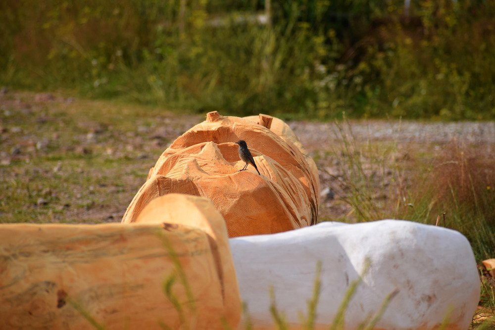 Photograph by Galya Krasteva