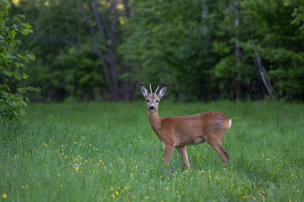 Photograph by Михаил