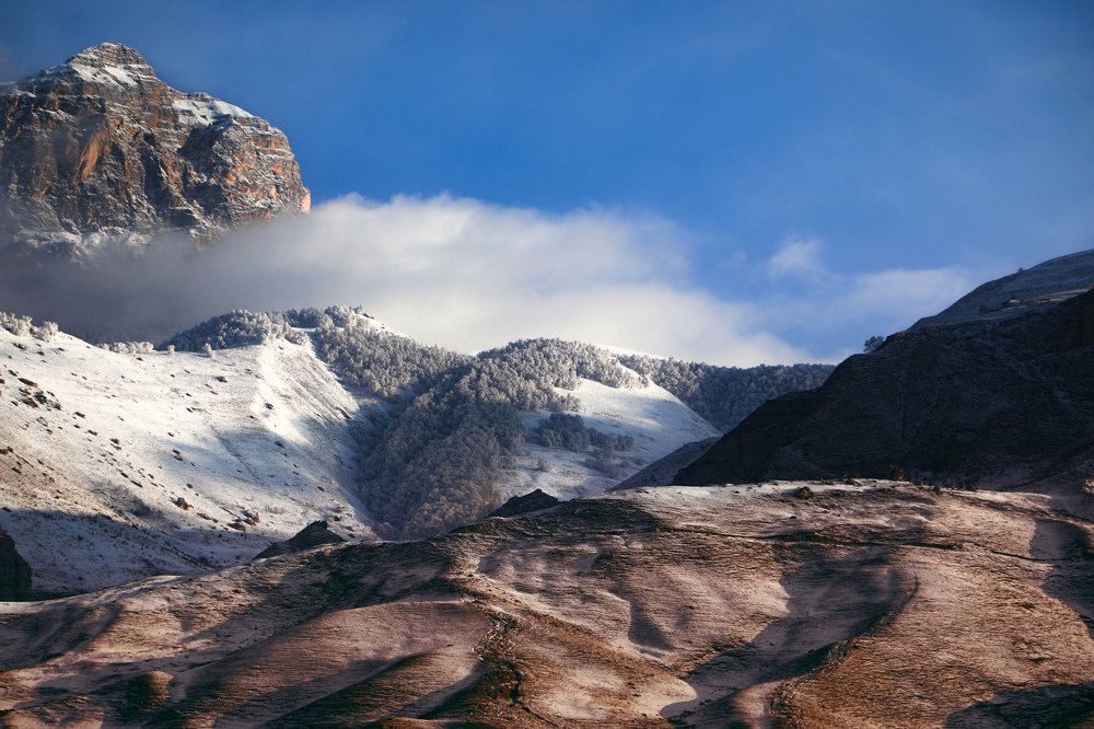 Photograph by Светлана Воскресенская