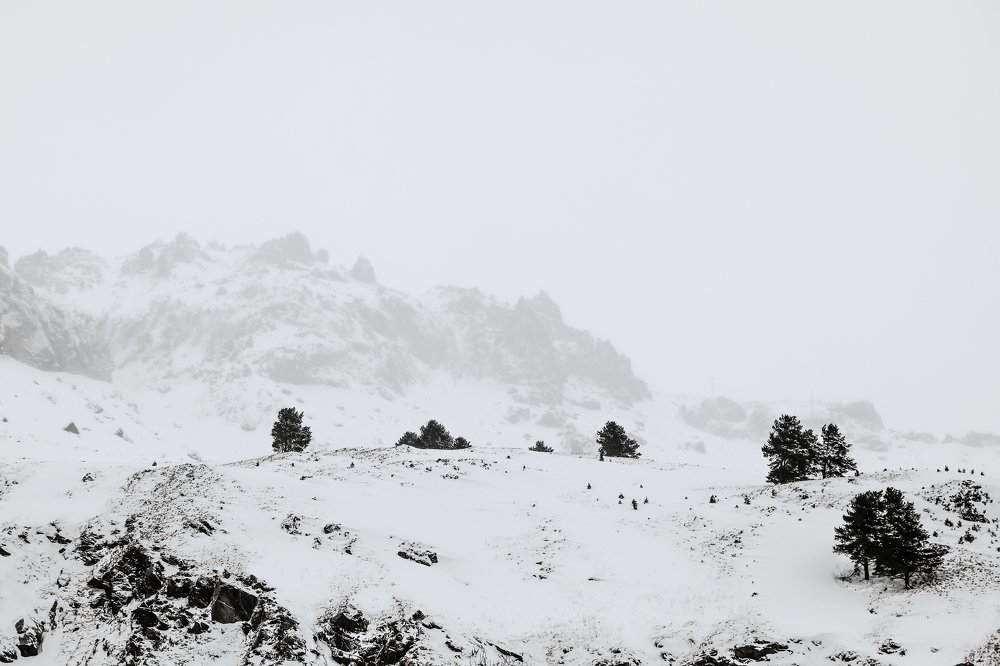 Photograph by Светлана Воскресенская