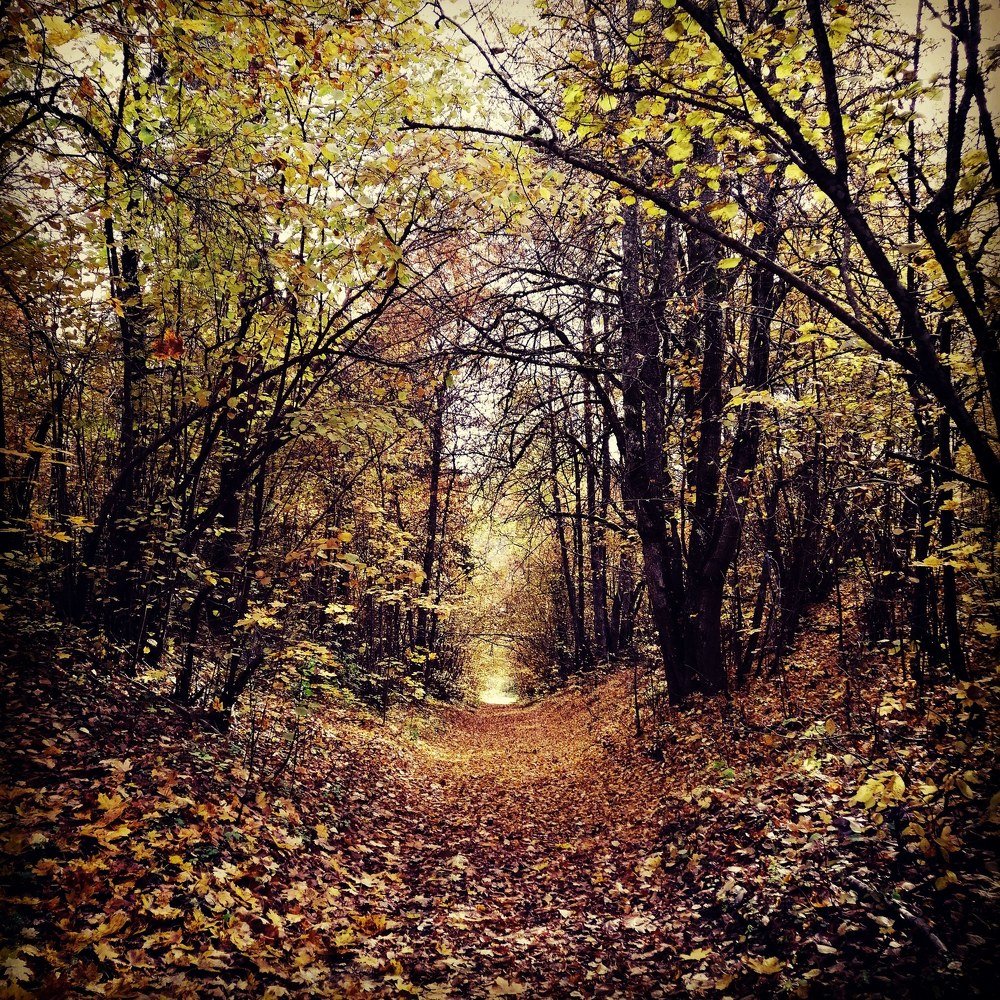 Photograph by Дмитрий