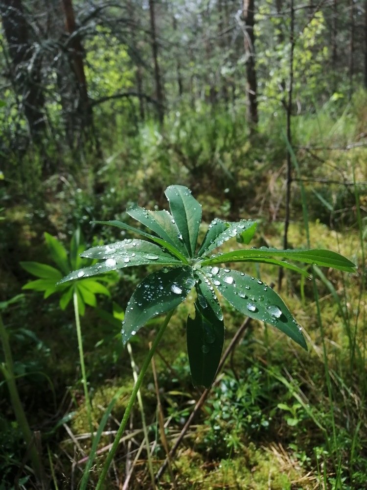 Photograph by Дмитрий