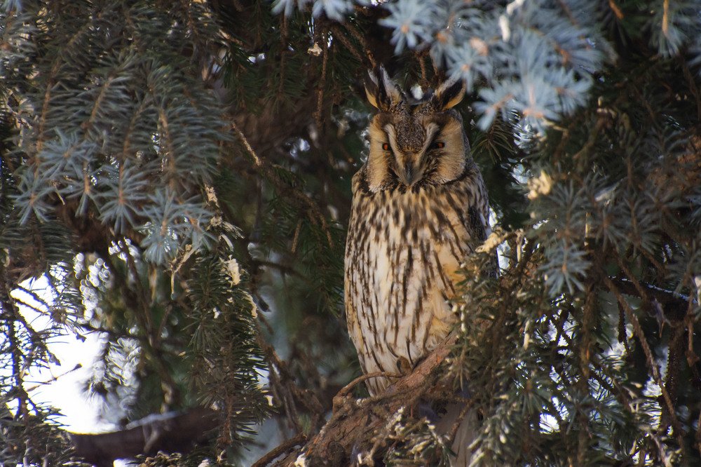 Photograph by Сергей Нестеренко