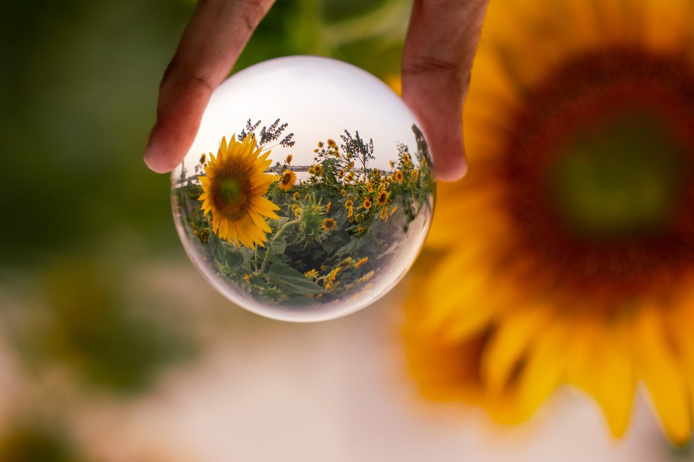 Nature Ball