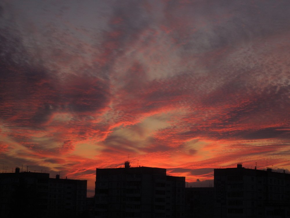 Photograph by Елена Болтенкова