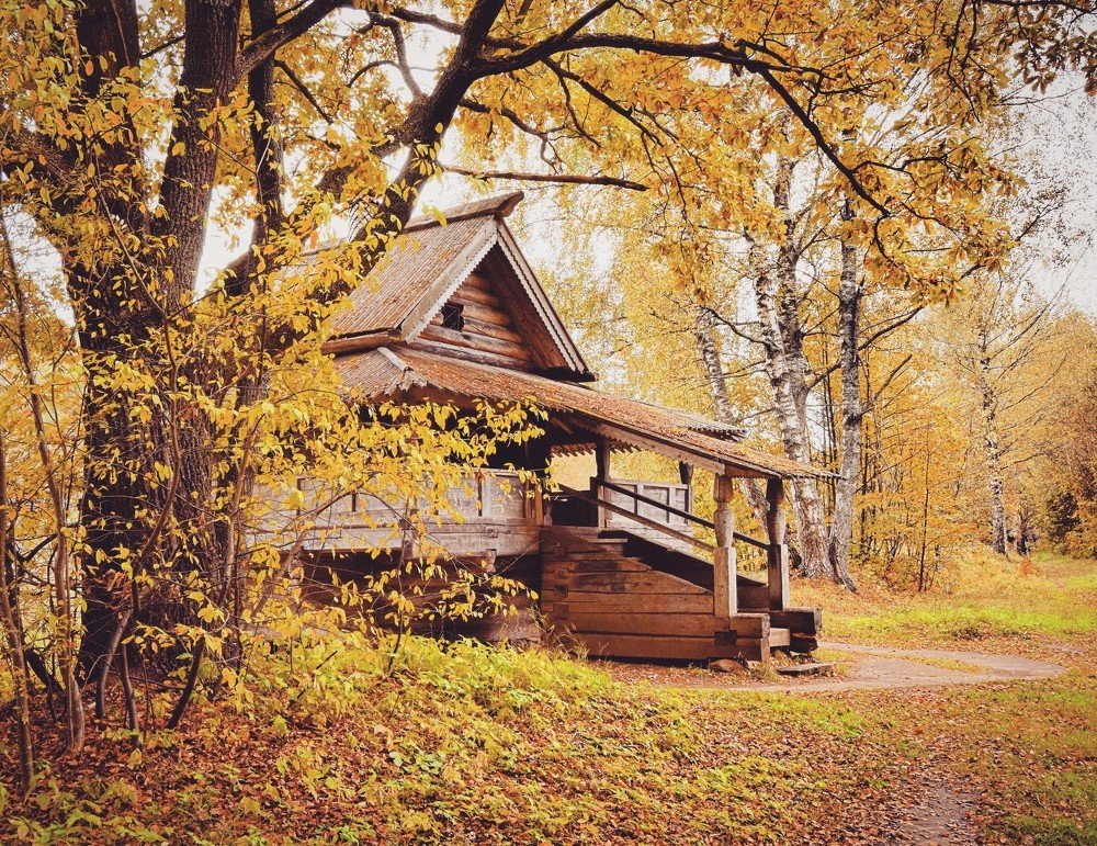 У леса на опушке