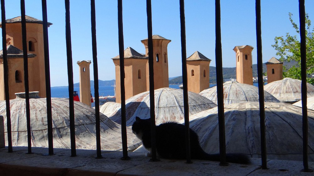 Photograph by Galya Krasteva