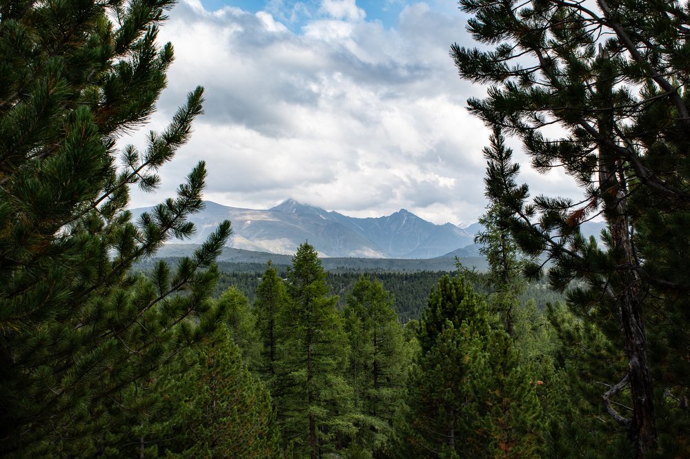 Фотография автора Сергей Кремер