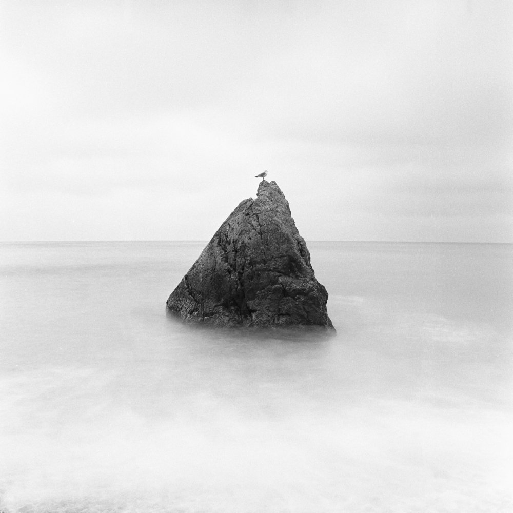 Photograph by Taras Kortunov