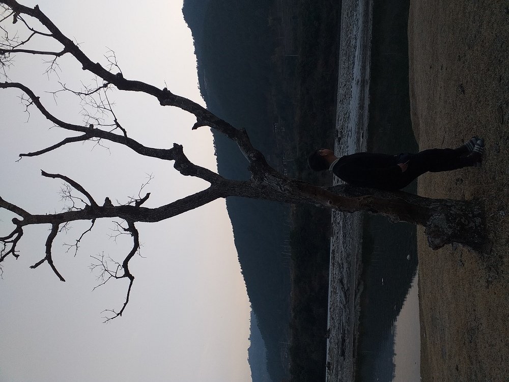Photo #4332724