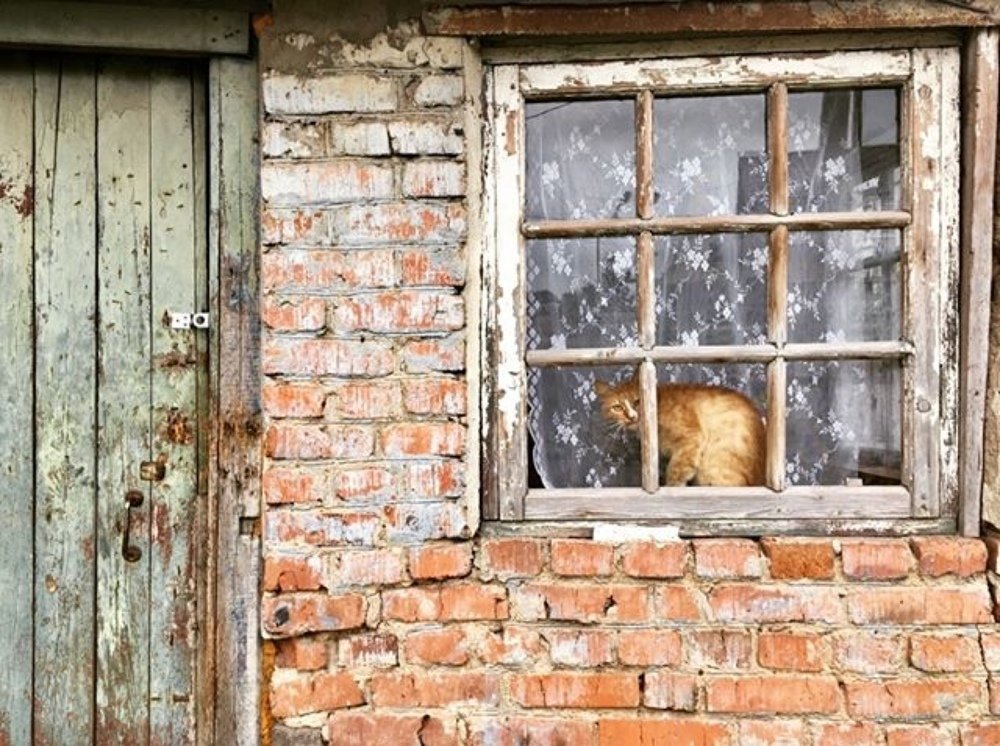 Одиночество