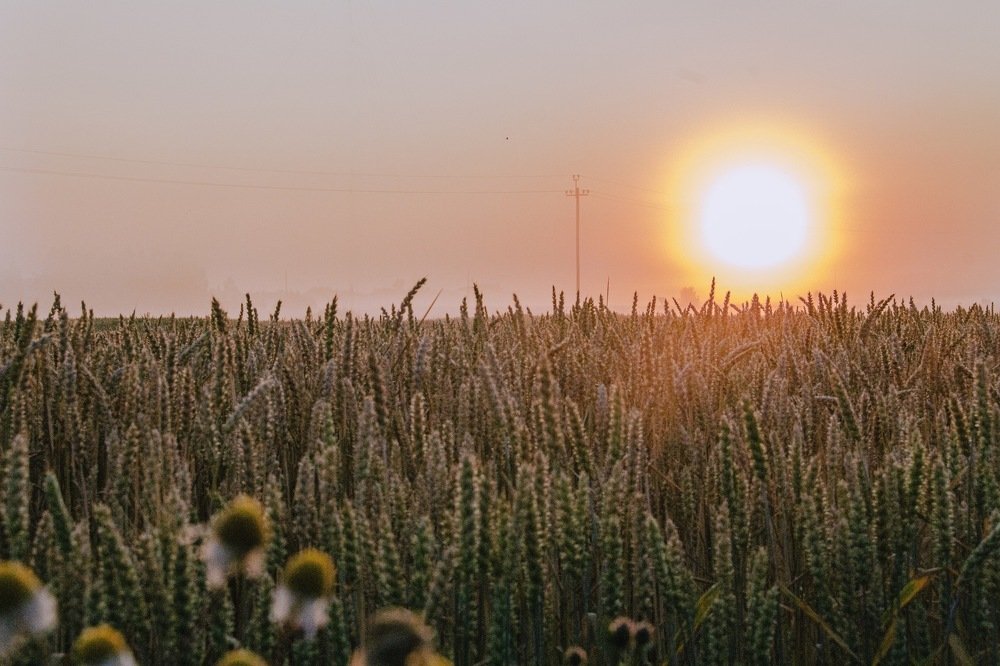 Photograph by Arianna Vernik