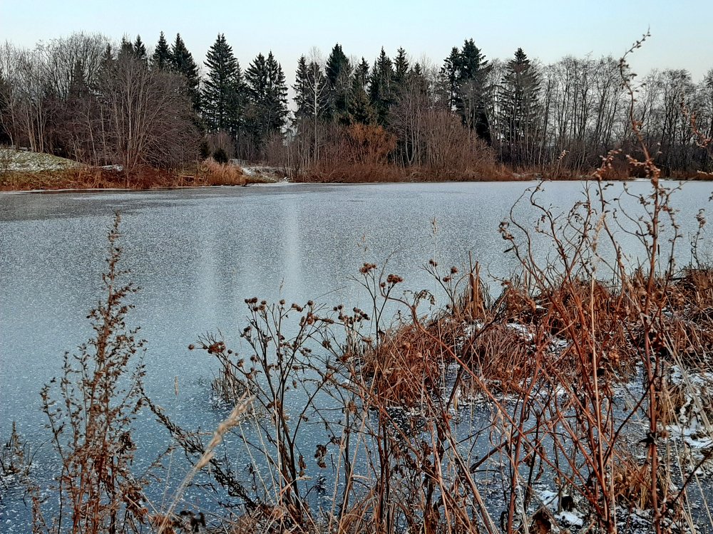 Photograph by Наталья Борюшкина