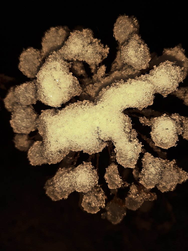 Photograph by Наталья Борюшкина