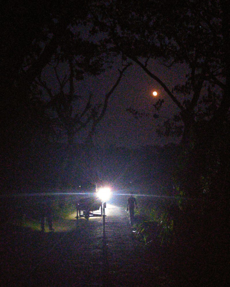 Photograph by Ferdous Nahid