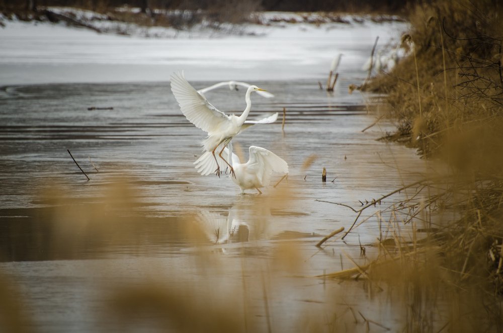 Photograph by Александр Сергиенко
