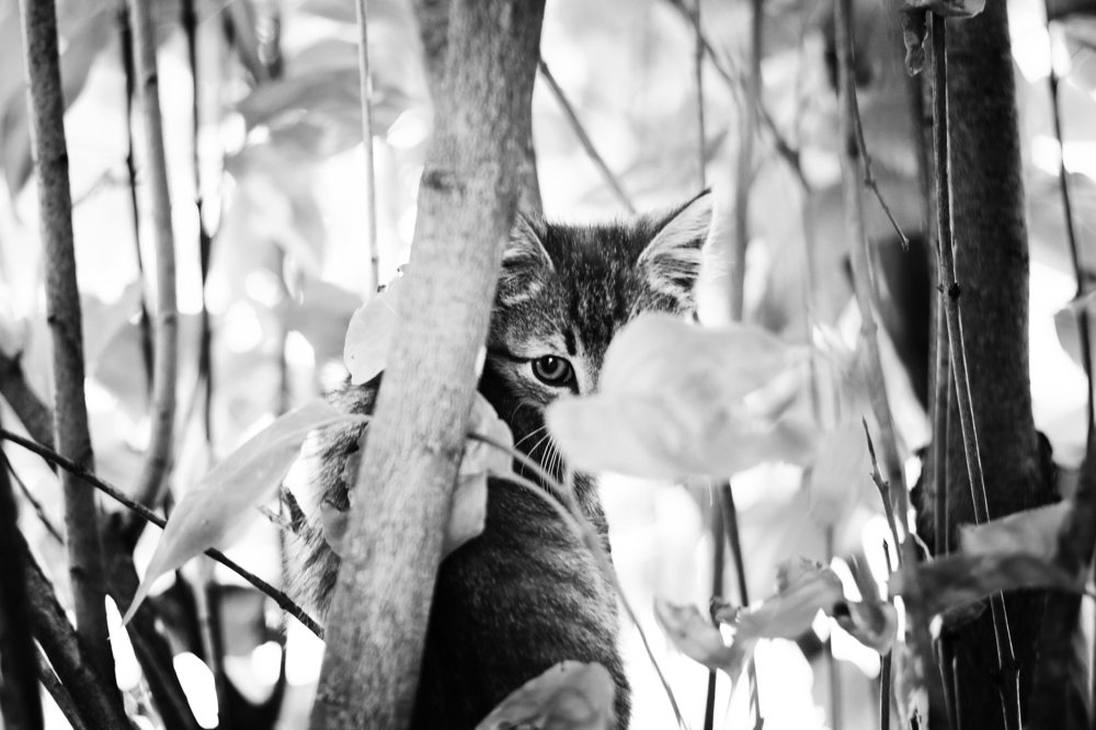 Photograph by Наталья Кулемина