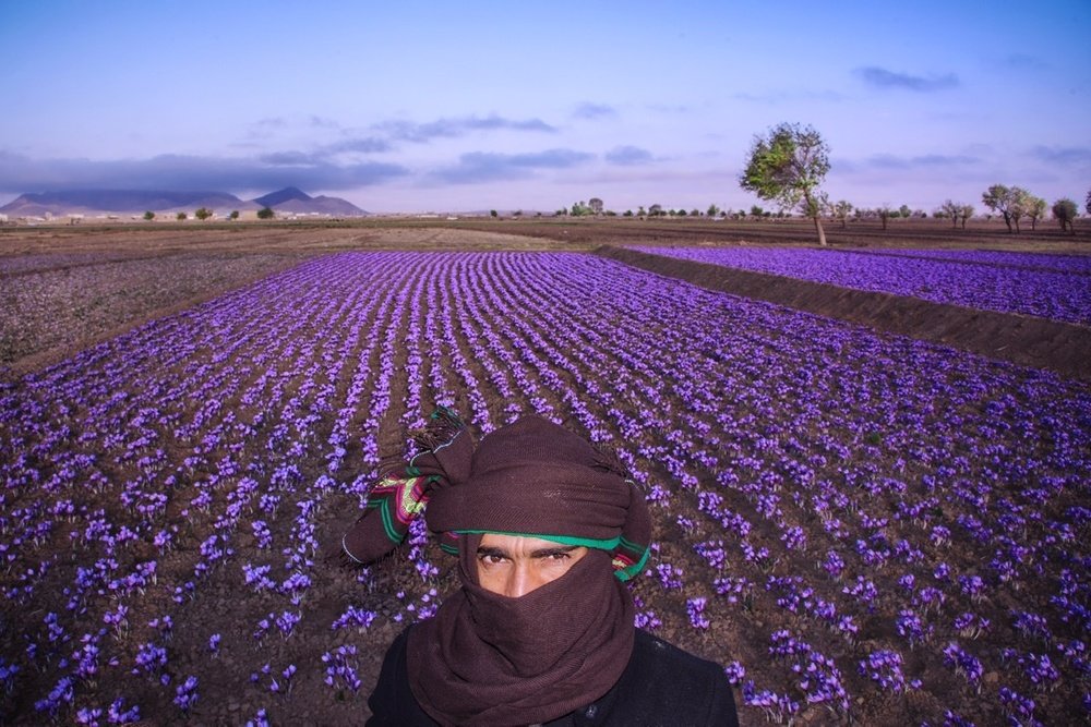 Photograph by Bahram Bayat