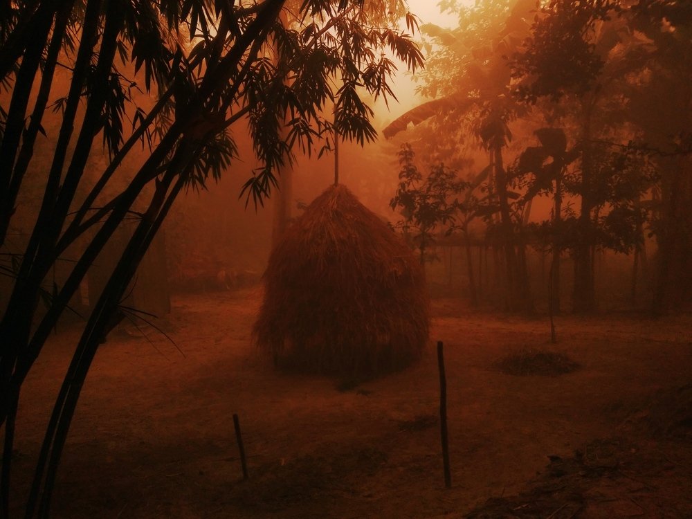 Photograph by Md Abu Sayeed Mondal