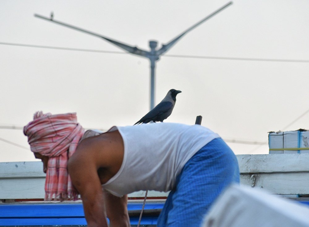 Photograph by Bikram Thakkar