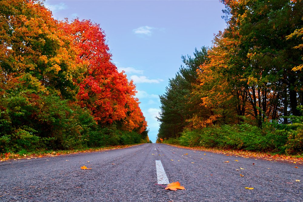 Photograph by Ольга Лещук