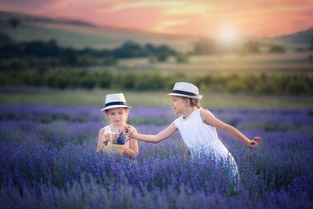 Бонжур, мадам!