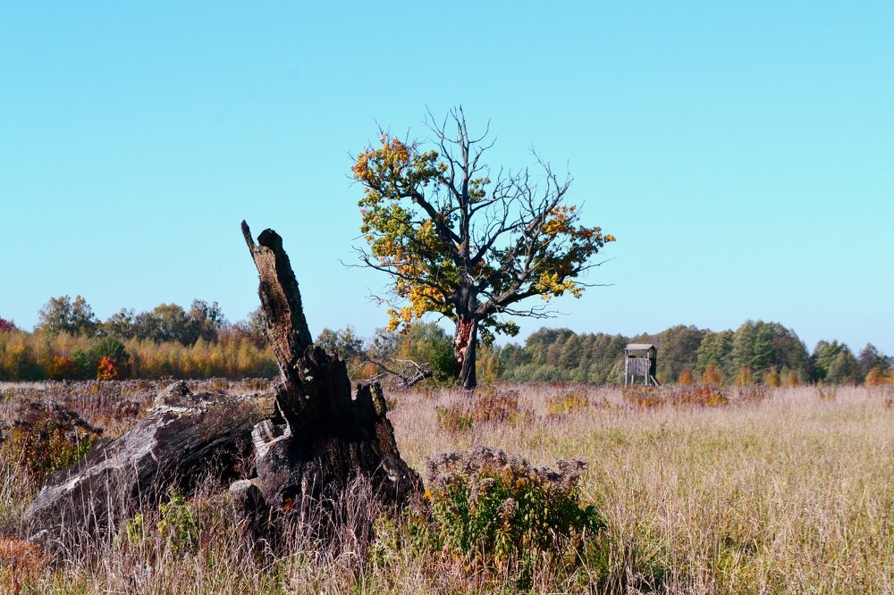 Photograph by Ольга Лещук