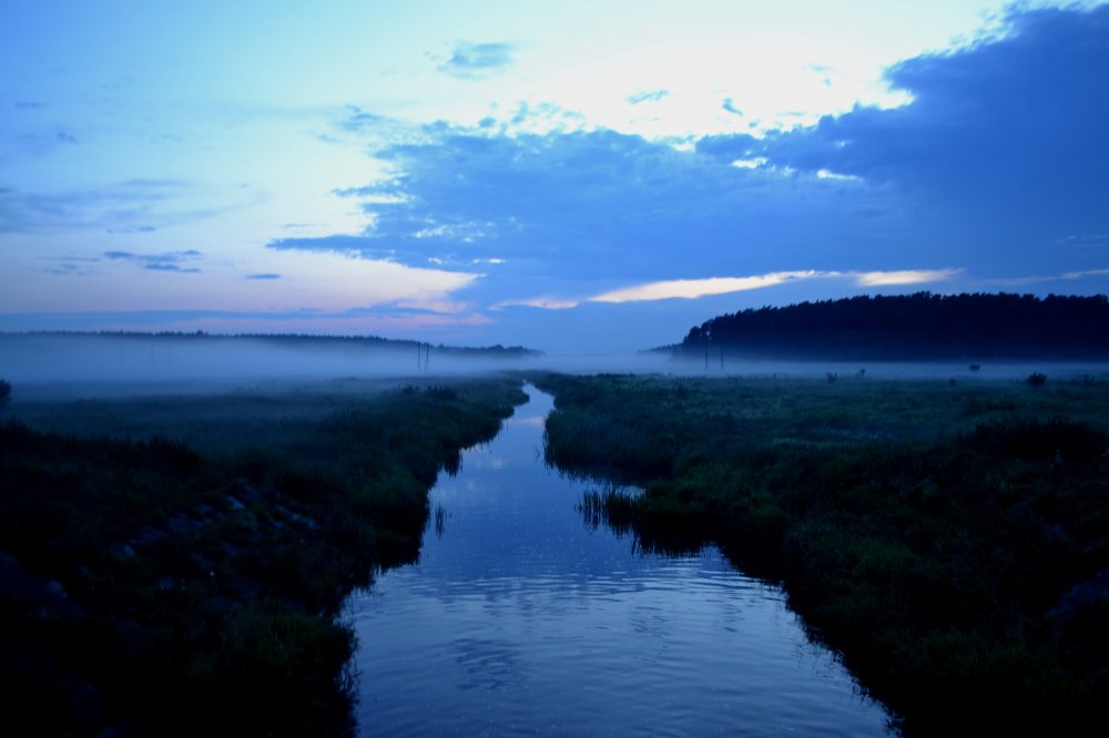 Photograph by Ольга Лещук