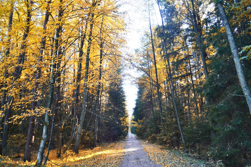 Photograph by Ольга Лещук