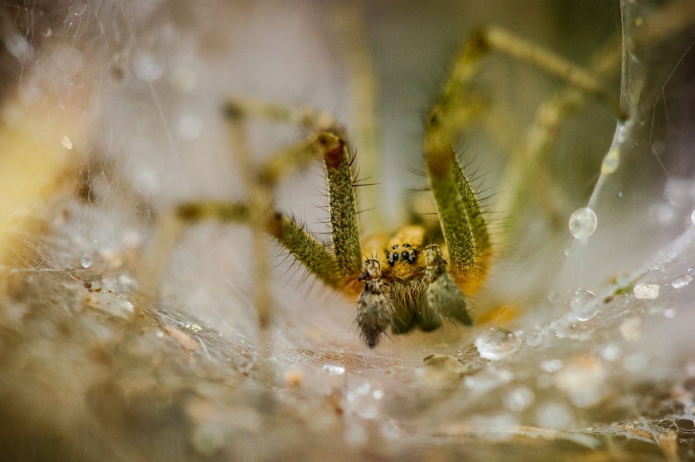 Photograph by Денис Фролов