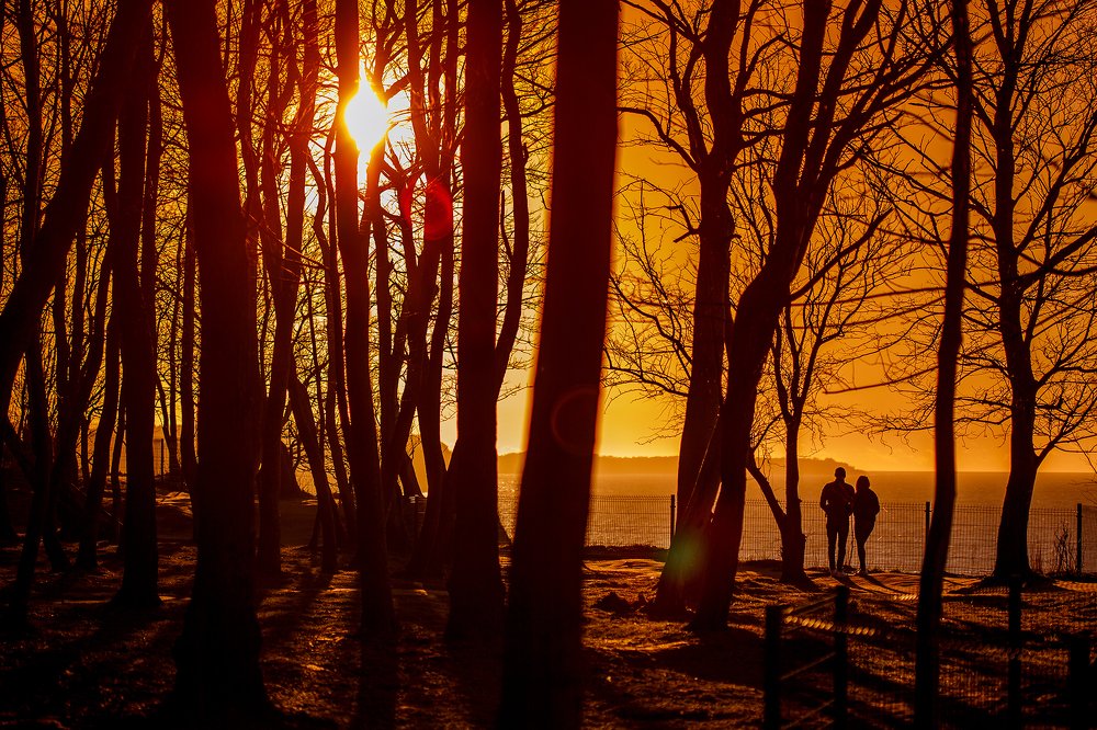 Photograph by Денис Фролов