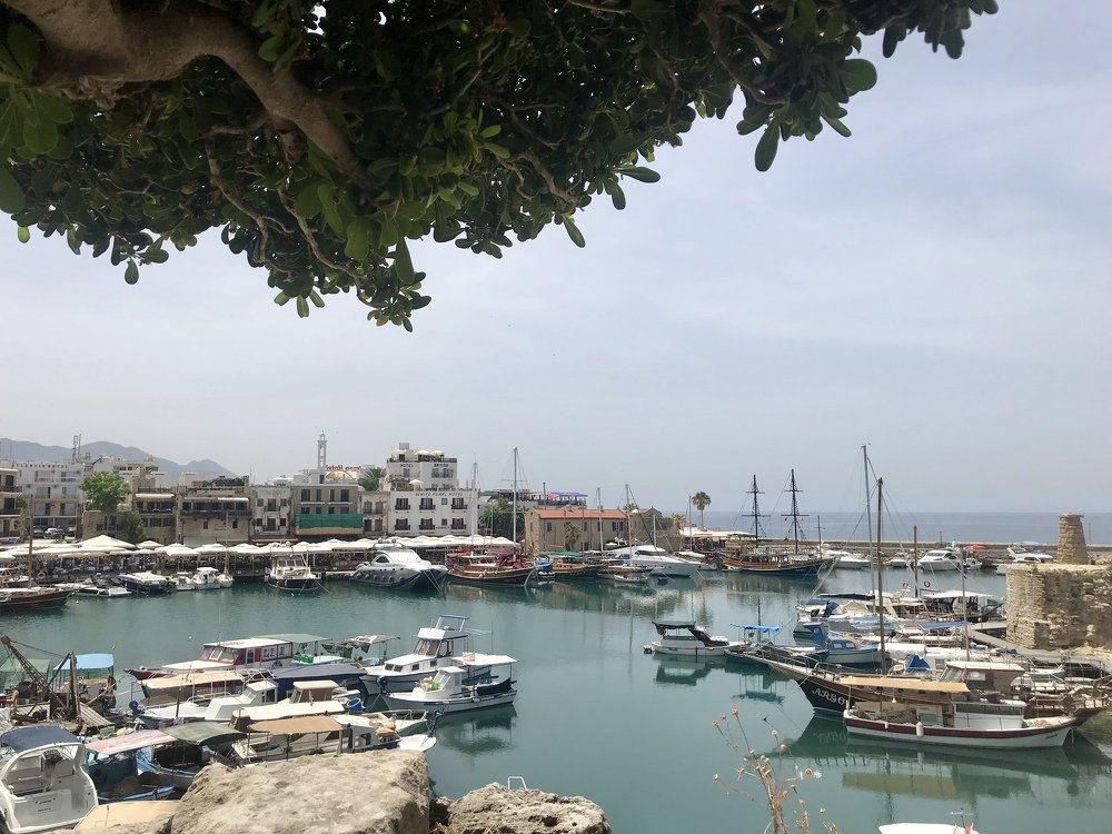 Photograph by Мария Шрейдер