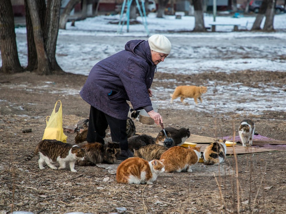 Photograph by Виктор Егоров