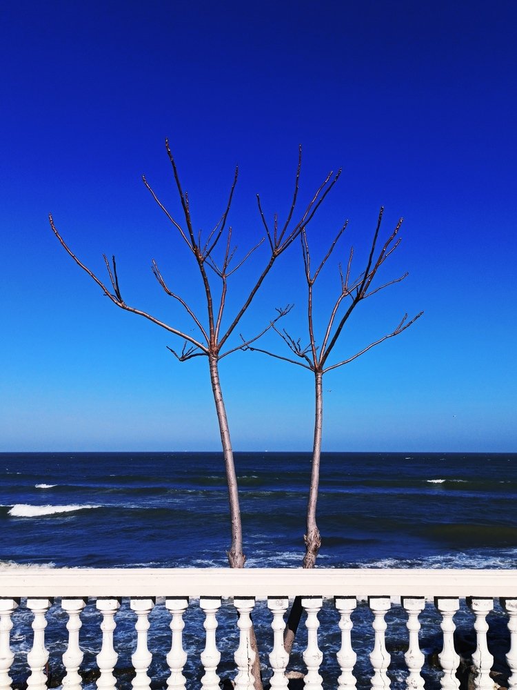 Photograph by Рашид Щамхалов