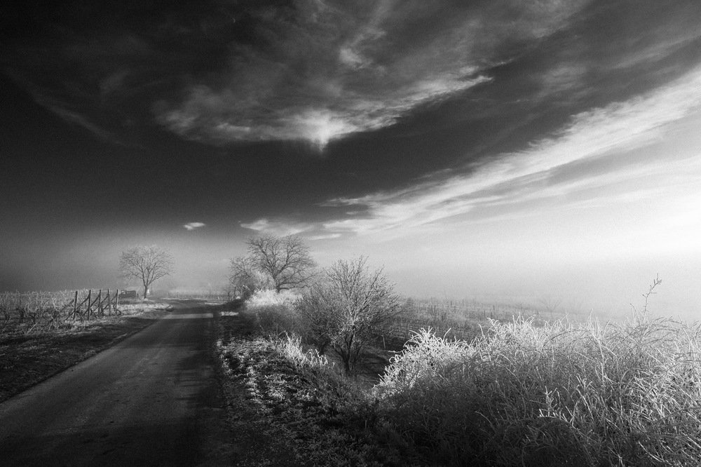 Photograph by Анна Пакутина