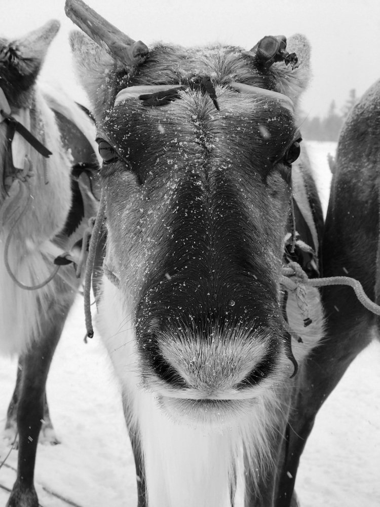 Жизнь дающие