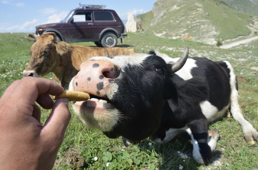 Photograph by Роев Александр