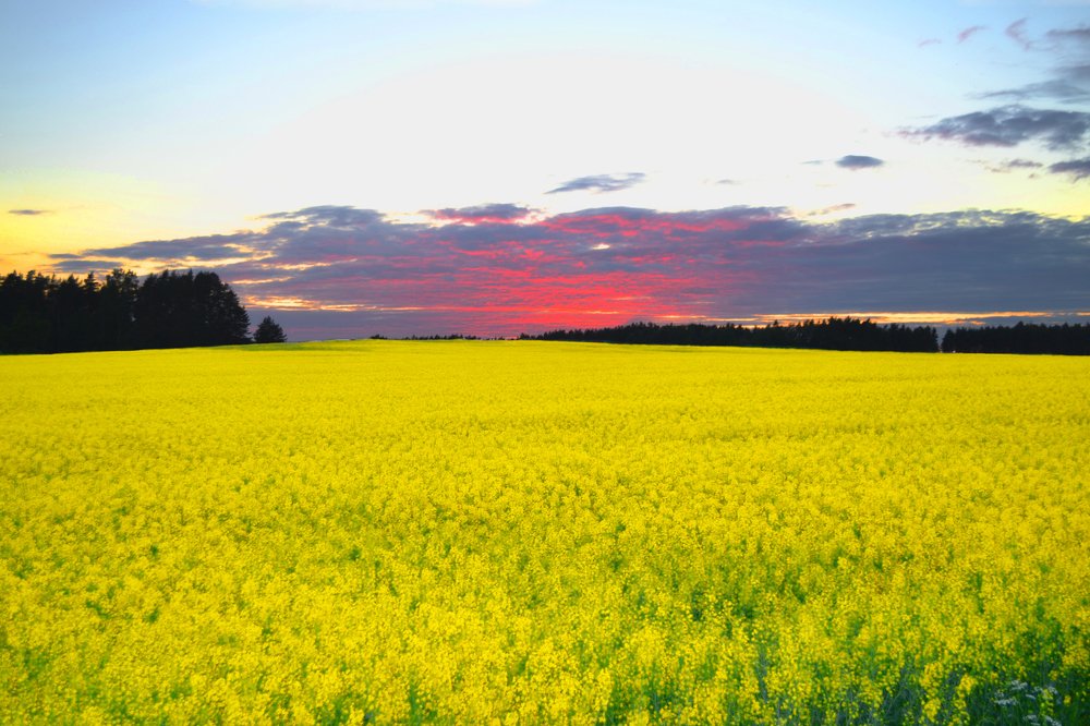 Photograph by Ольга Лещук