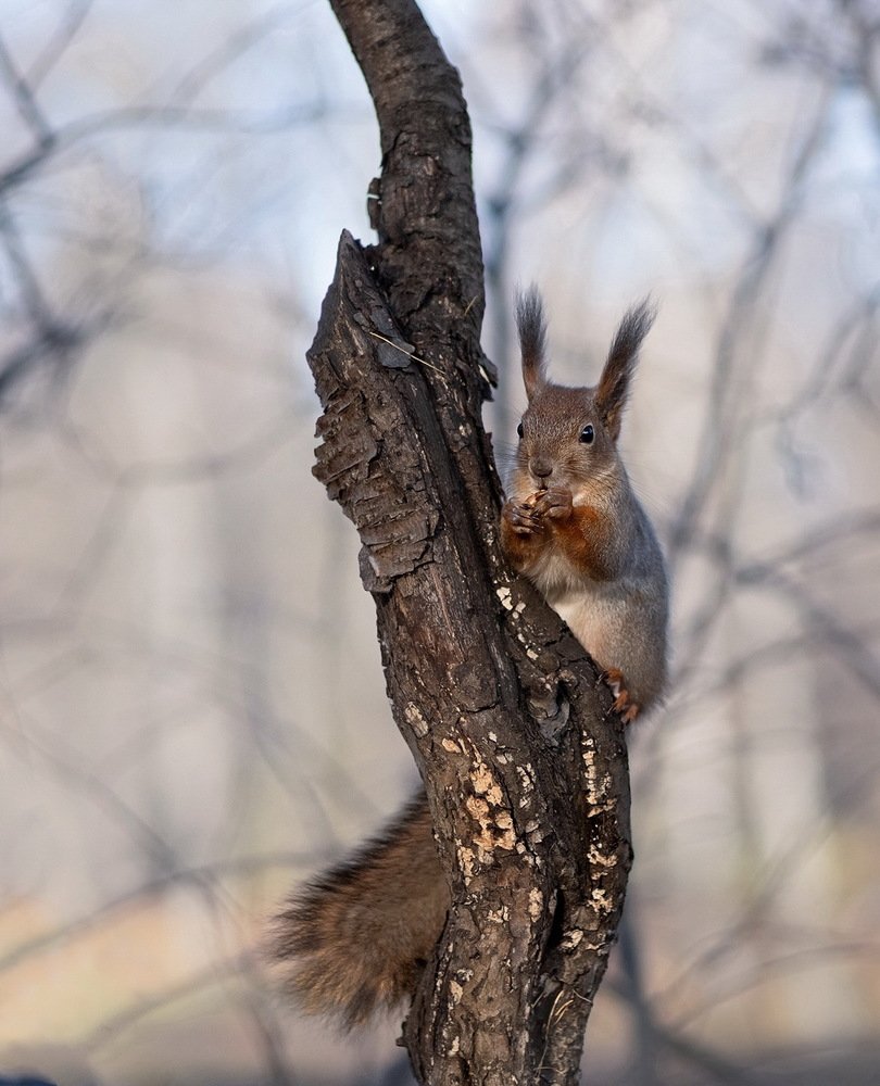 Photograph by Наталия Иванова