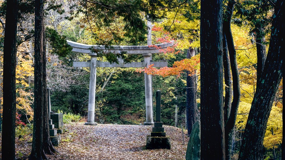 Japanese Gardens
