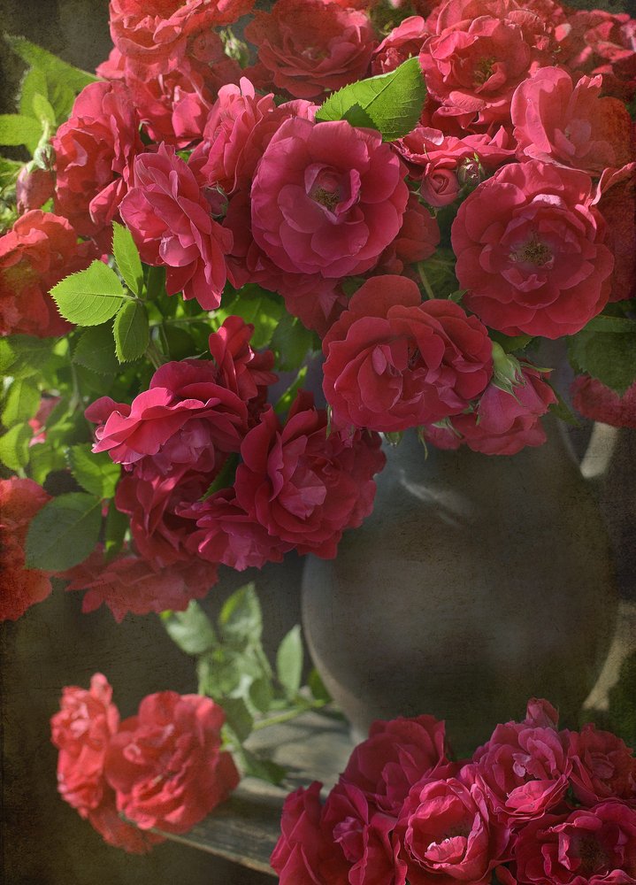 Photograph by Ирина Туяхова