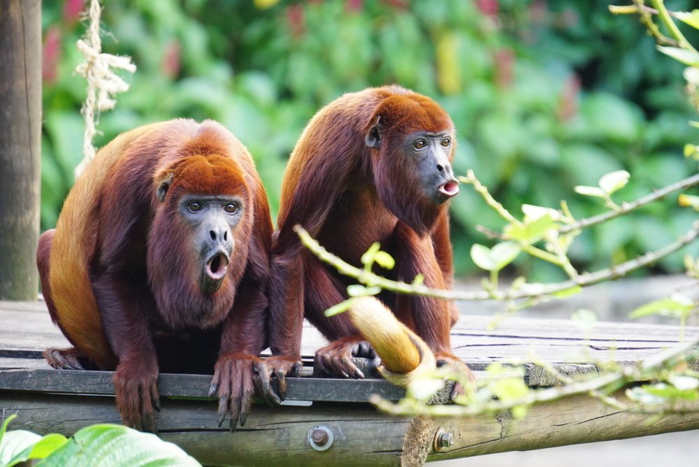 Photograph by Mónica Castaño