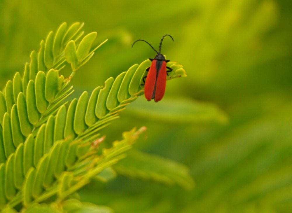 Photograph by Mónica Castaño