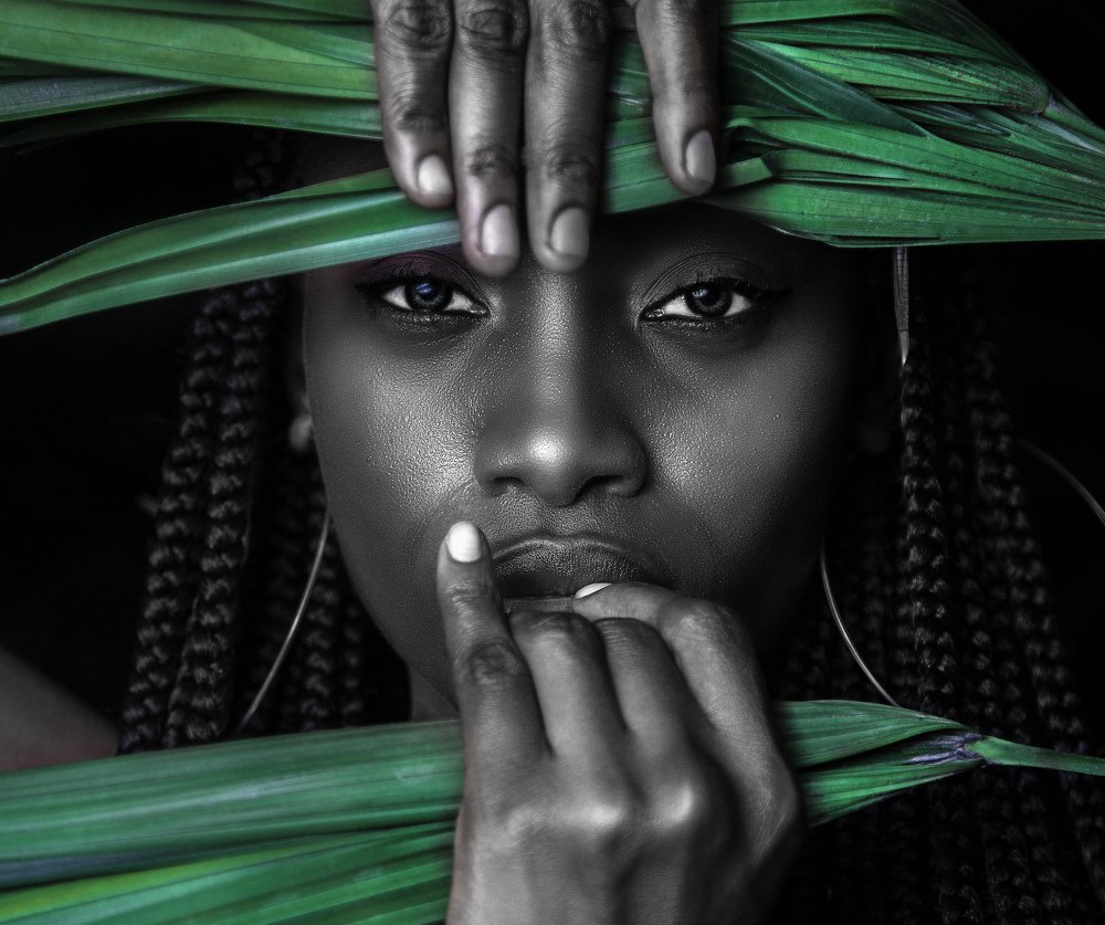 Photograph by ELIOT ELIOTSON DESIGNER PHOTOGRAPHIE