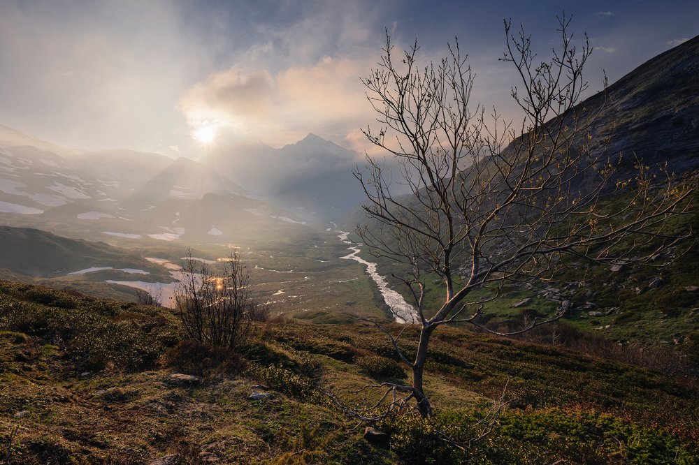 Photograph by Stefano Ricca